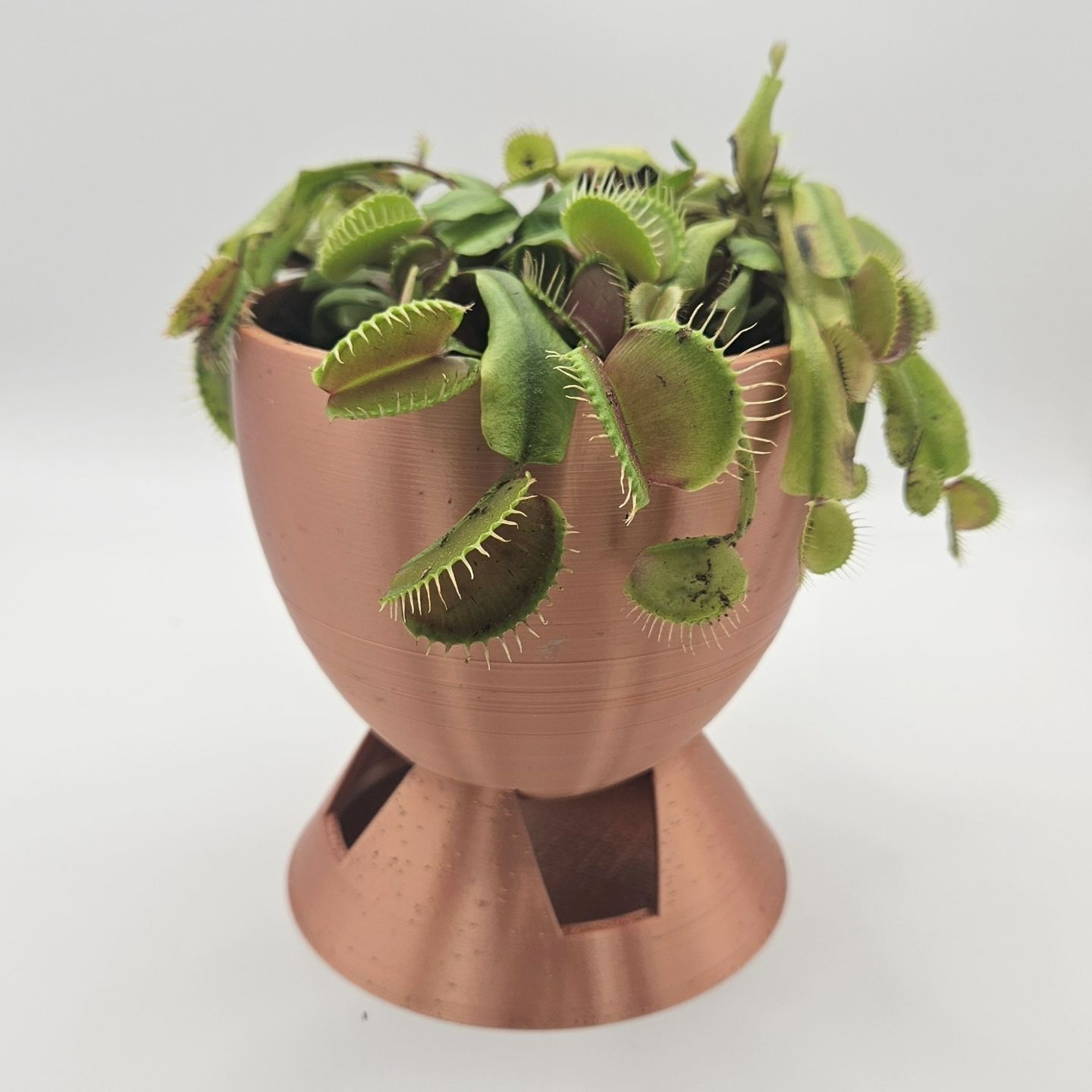 Planter 01